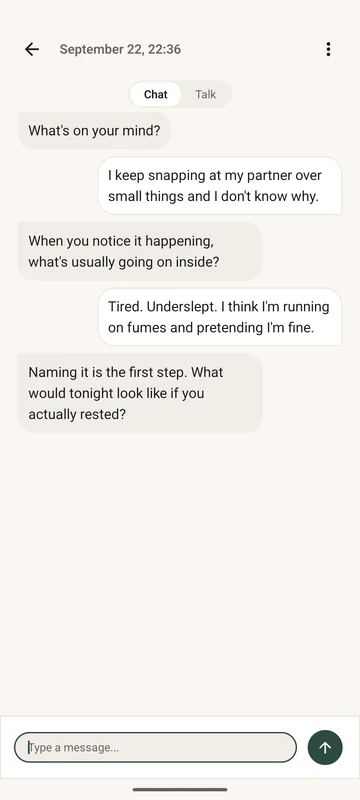A conversation in Plimm. Plimm asks what is on your mind; the person says they keep snapping at their partner over small things; Plimm asks what is usually going on inside when it happens.